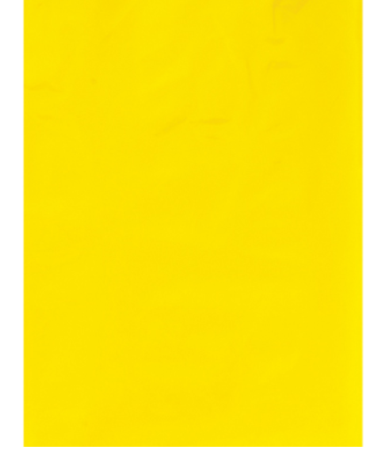Yellow 8 x 10