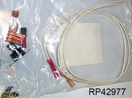 RP42977 - Thermostat Assembly TD2100